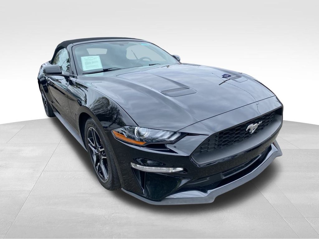 used 2019 Ford Mustang car, priced at $19,995