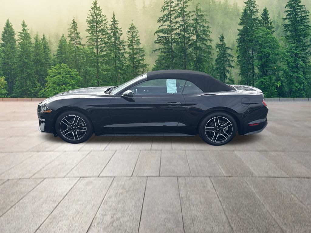 used 2019 Ford Mustang car, priced at $17,850