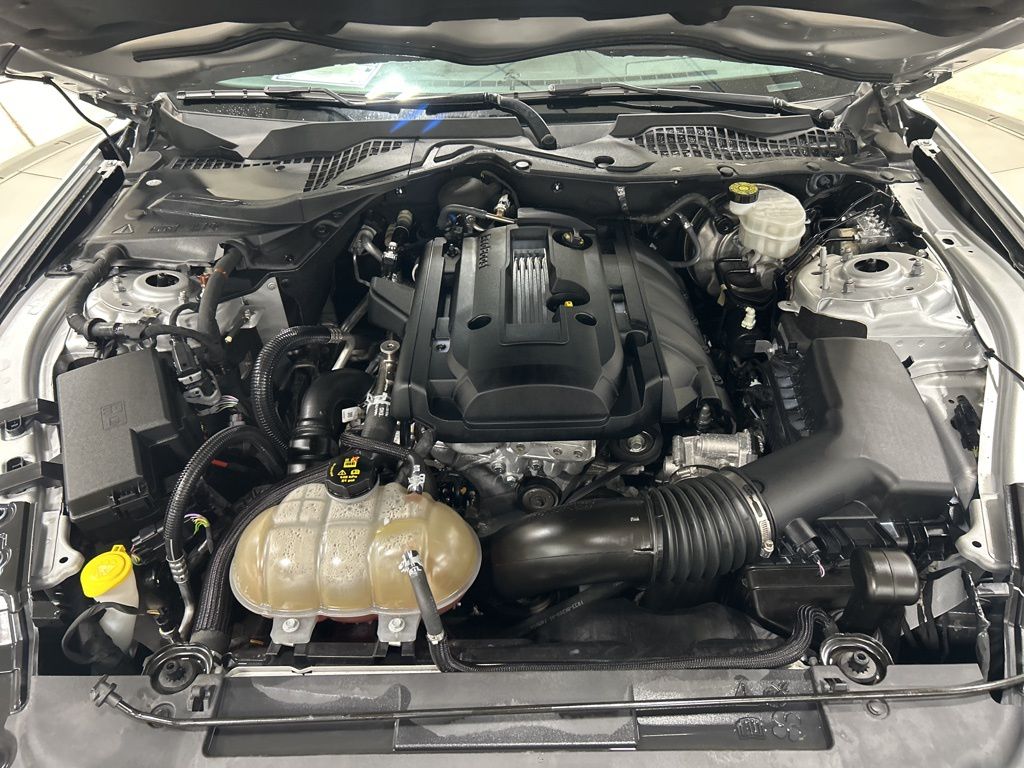 used 2019 Ford Mustang car, priced at $22,695