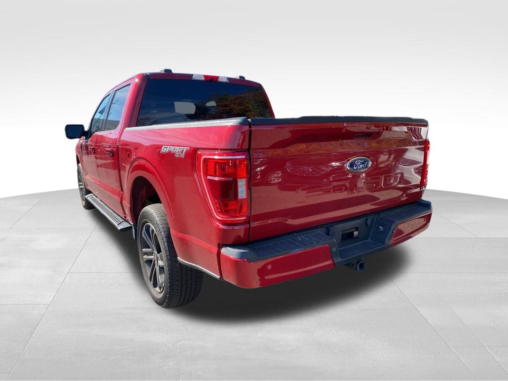 used 2021 Ford F-150 car