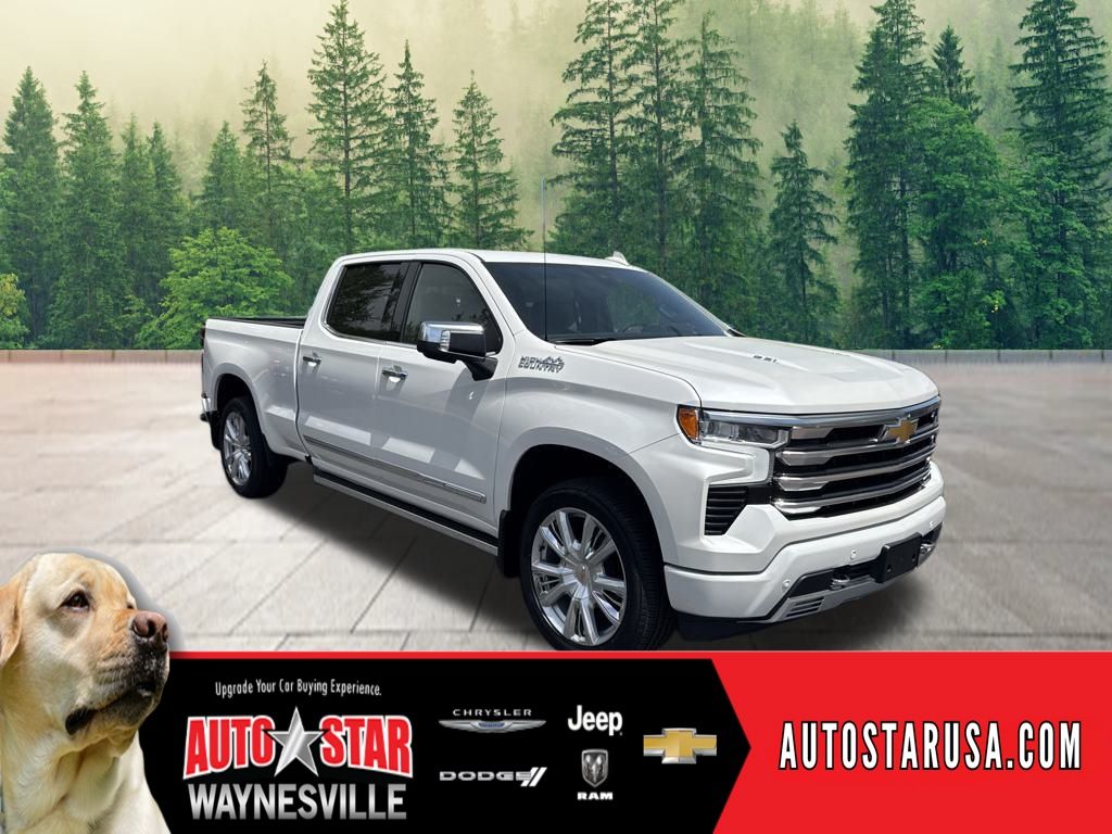 new 2024 Chevrolet Silverado 1500 car, priced at $69,990