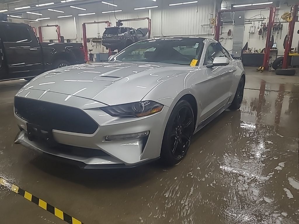 used 2019 Ford Mustang car, priced at $22,695