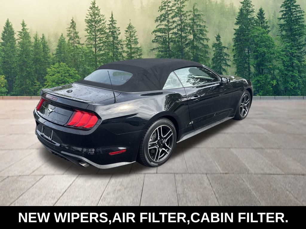 used 2019 Ford Mustang car, priced at $17,850