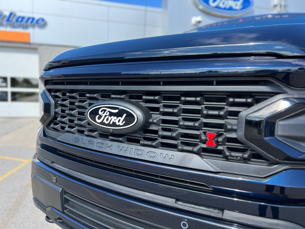 new 2025 Ford F-150 car, priced at $100,690