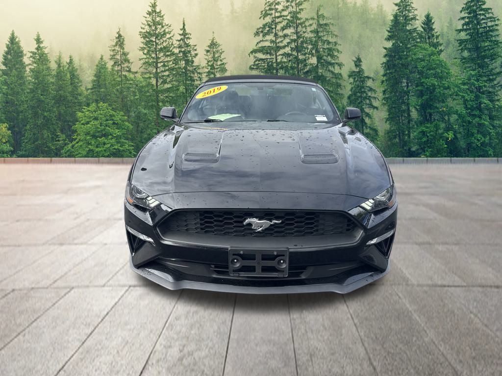 used 2019 Ford Mustang car, priced at $17,850