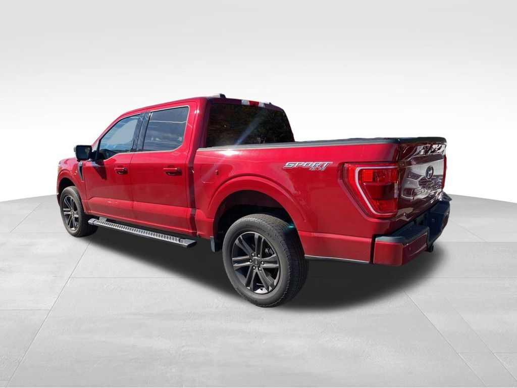 used 2021 Ford F-150 car