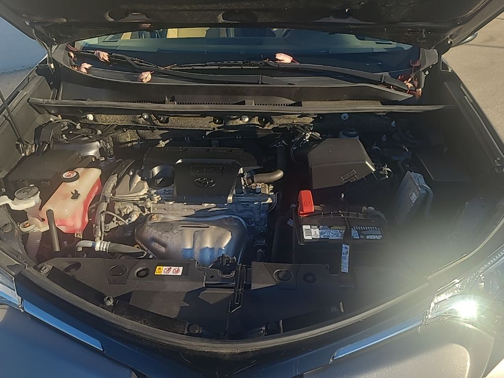 used 2018 Toyota RAV4 car, priced at $19,799