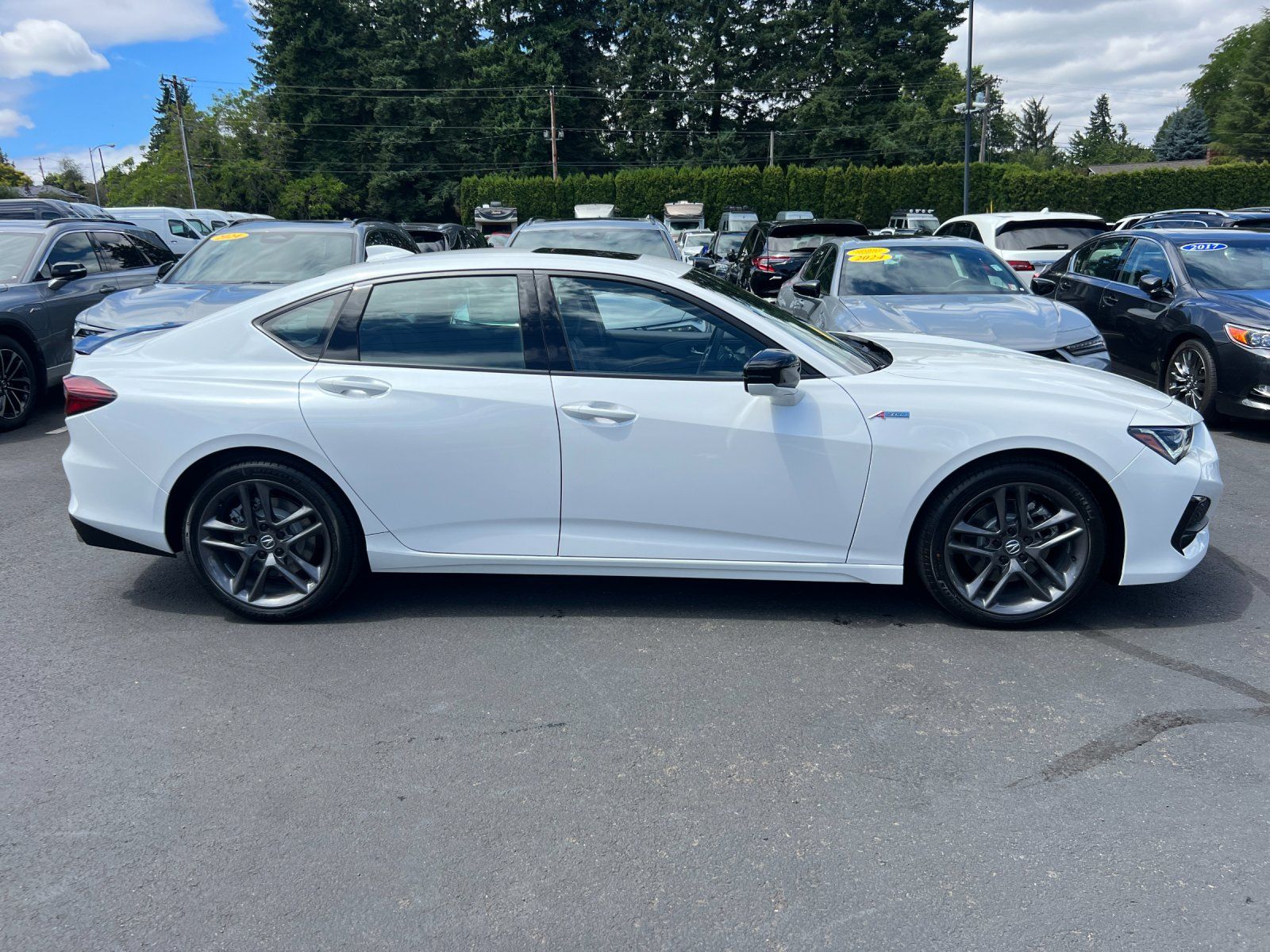 new 2025 Acura TLX car