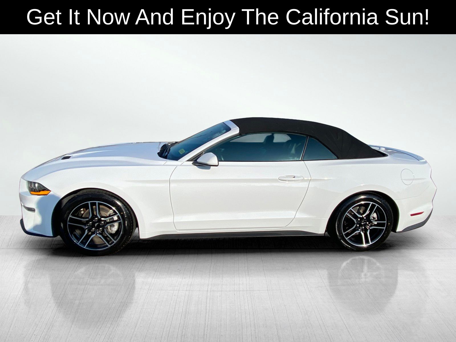 used 2022 Ford Mustang car, priced at $22,282