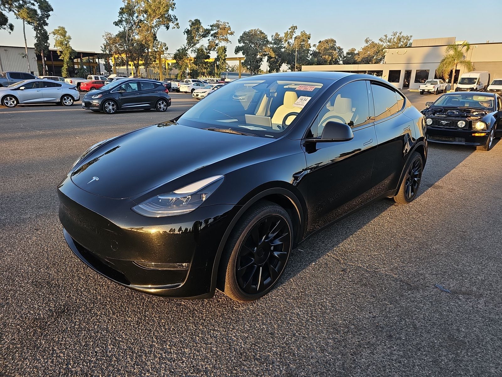 used 2023 Tesla Model Y car, priced at $34,995