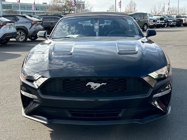 used 2019 Ford Mustang car, priced at $17,077