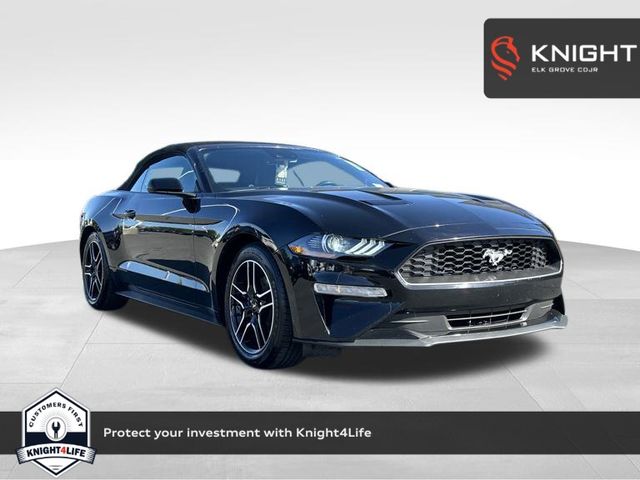used 2023 Ford Mustang car, priced at $25,999