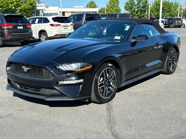 used 2023 Ford Mustang car, priced at $25,999