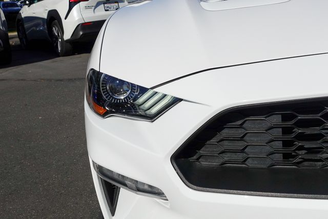 used 2020 Ford Mustang car, priced at $20,287