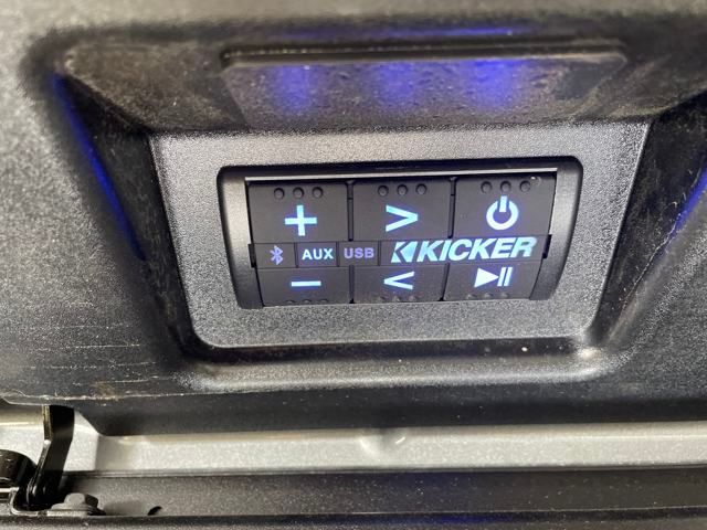 new 2025 GMC Sierra 1500 car, priced at $81,500