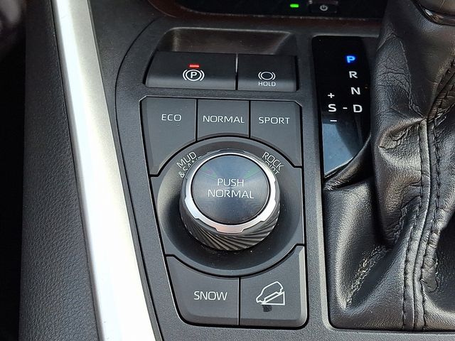 used 2019 Toyota RAV4 car, priced at $23,979