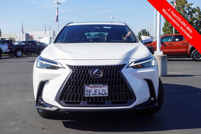 used 2025 Lexus NX car, priced at $40,000