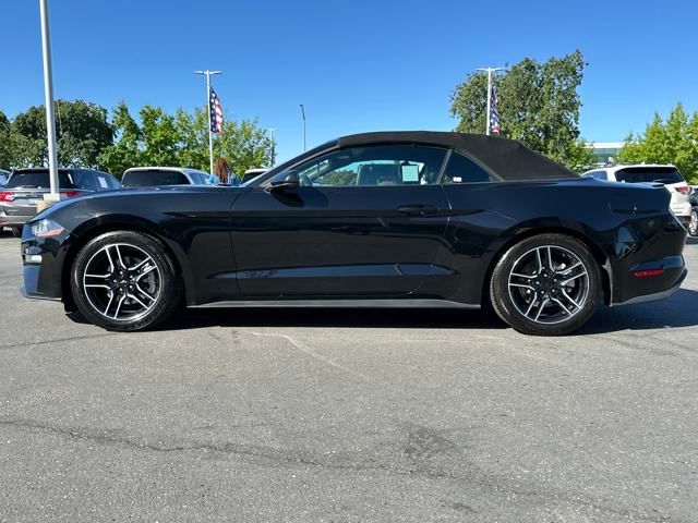 used 2023 Ford Mustang car, priced at $25,999