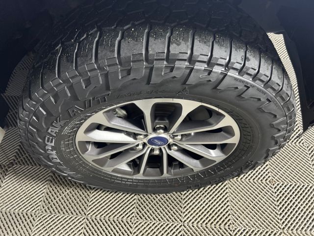 used 2019 Ford F-150 car, priced at $27,000