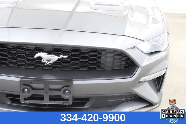 used 2023 Ford Mustang car, priced at $25,999