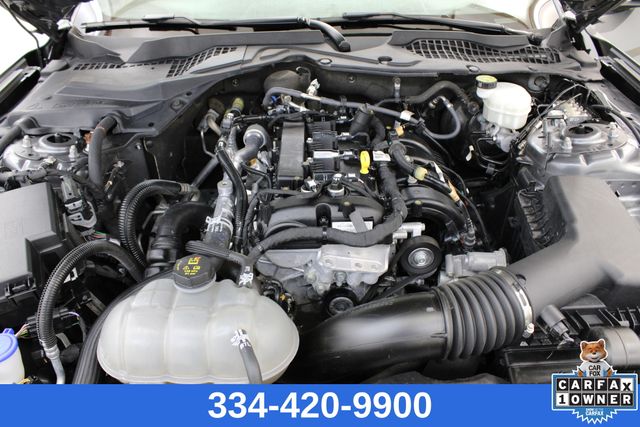 used 2023 Ford Mustang car, priced at $25,999